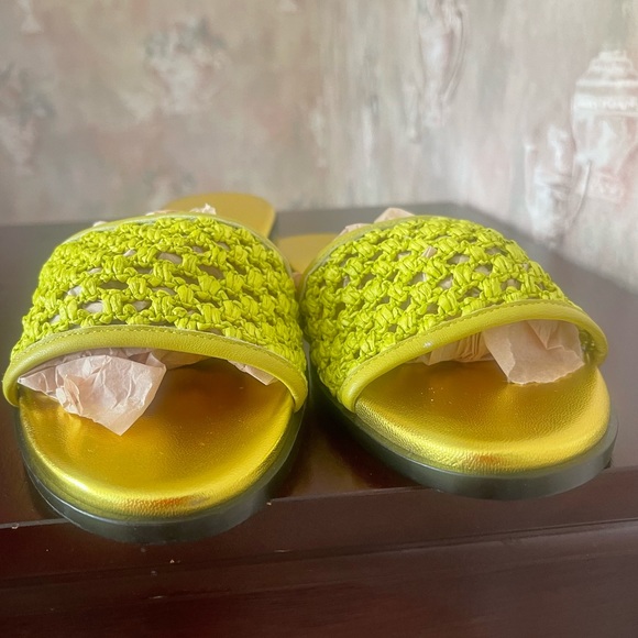 JIMMY CHOO MINEA ELECTRIC LIME RAFFIA SLIDES AND BOX NWT - Picture 6 of 14